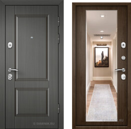 Дверь 3мм в дом с зеркалом д3м-014